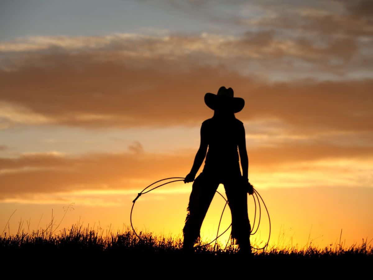 Silhouette of a cowgirl holding a lasso at sunset.