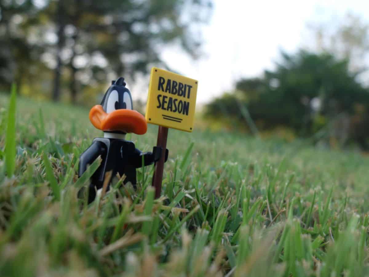 A toy duck holding a sign in the grass.