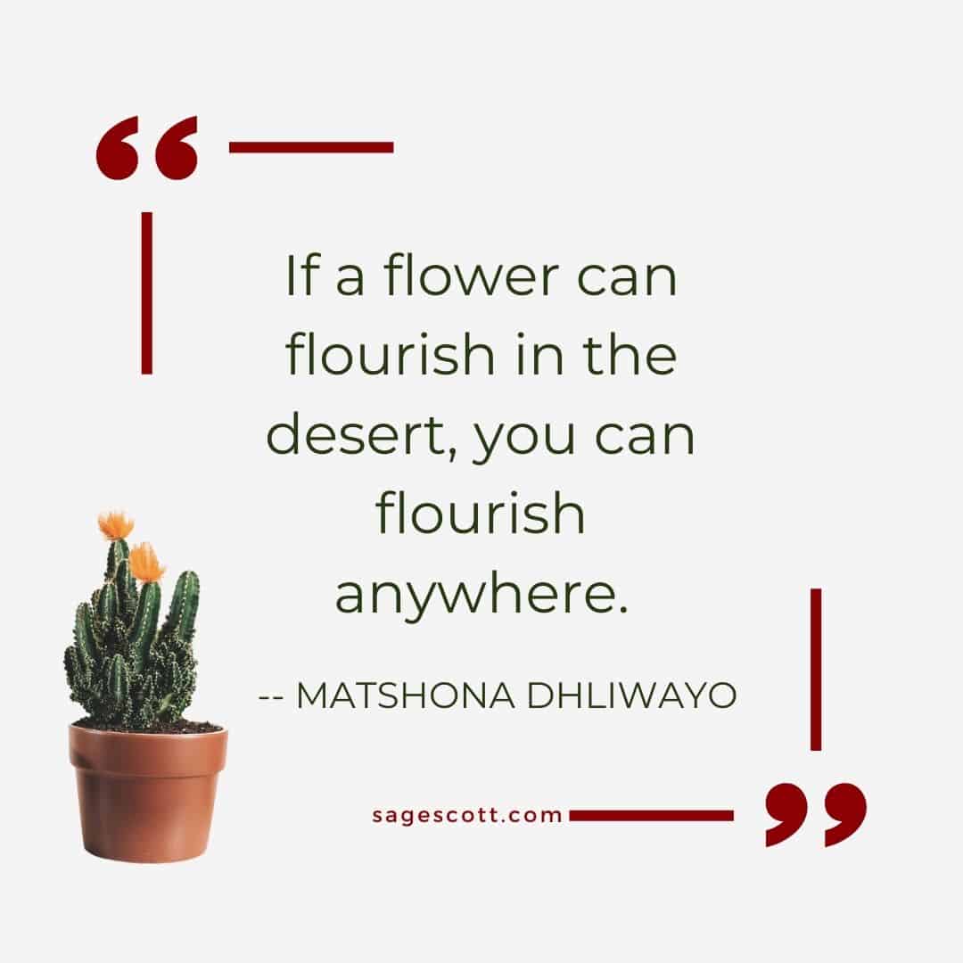 A cactus with a quote that says if a flower can flourish in the desert, you can anywhere.