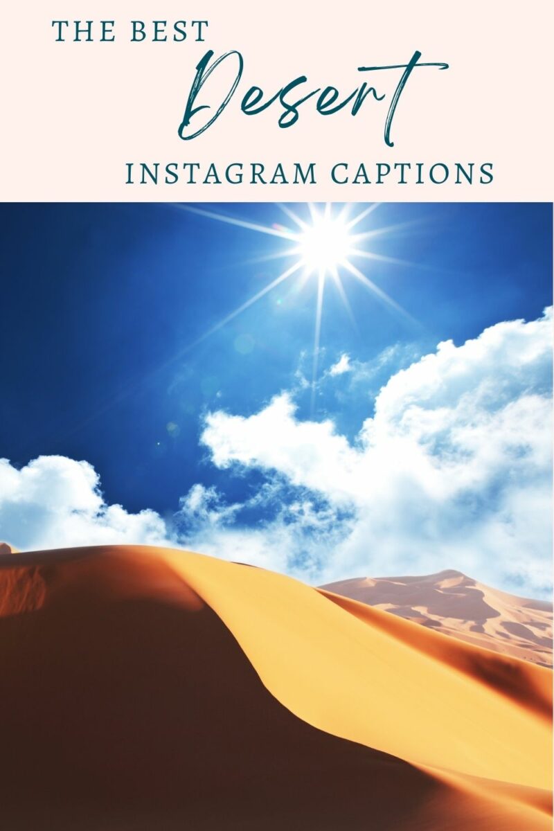The best desert instagram captions.