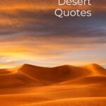Inspirational desert quotes.