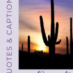 Saguaro cactus and sunset with the words quotes and captions desert.