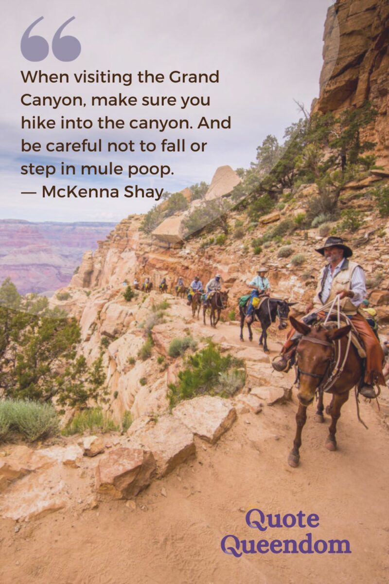 A group of people riding horses through the canyon with a quote.