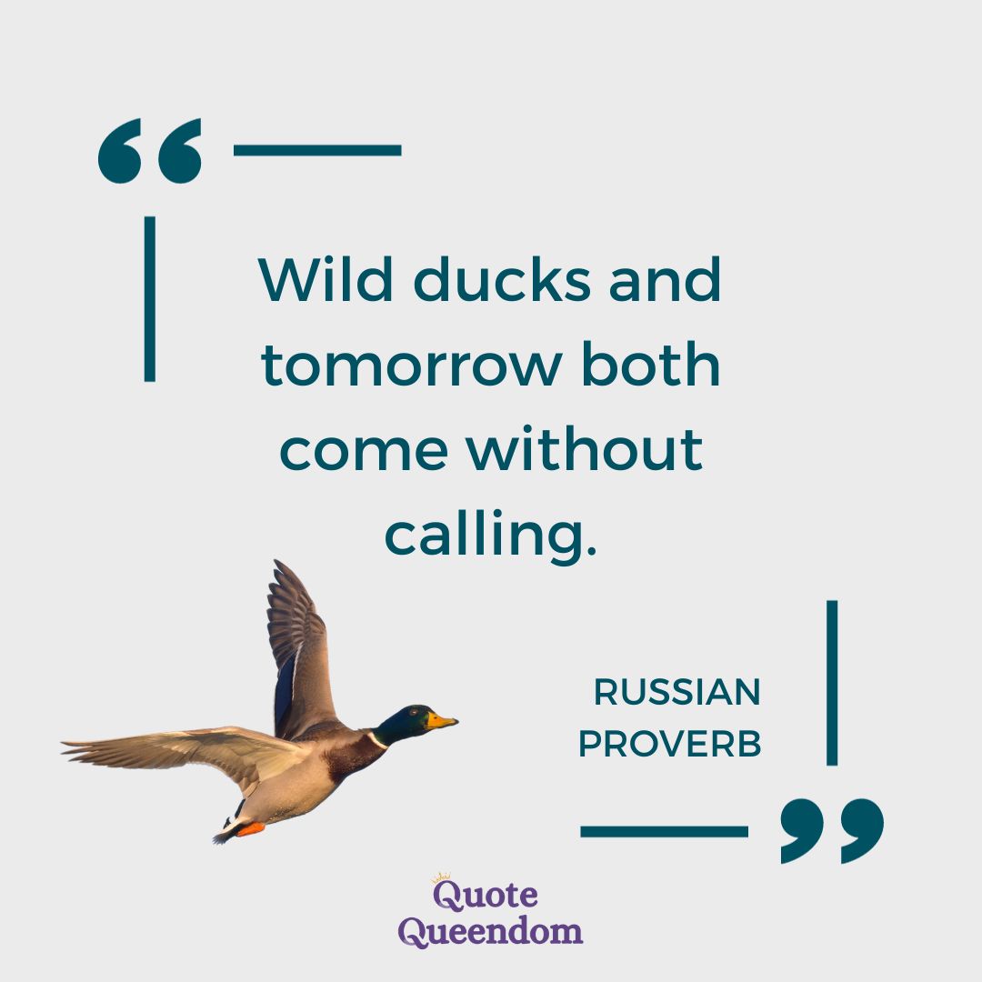 Wild ducks and tomorrow both come without calling russian proverb.