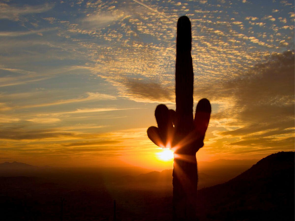Capturing the serene beauty of a desert sunset.