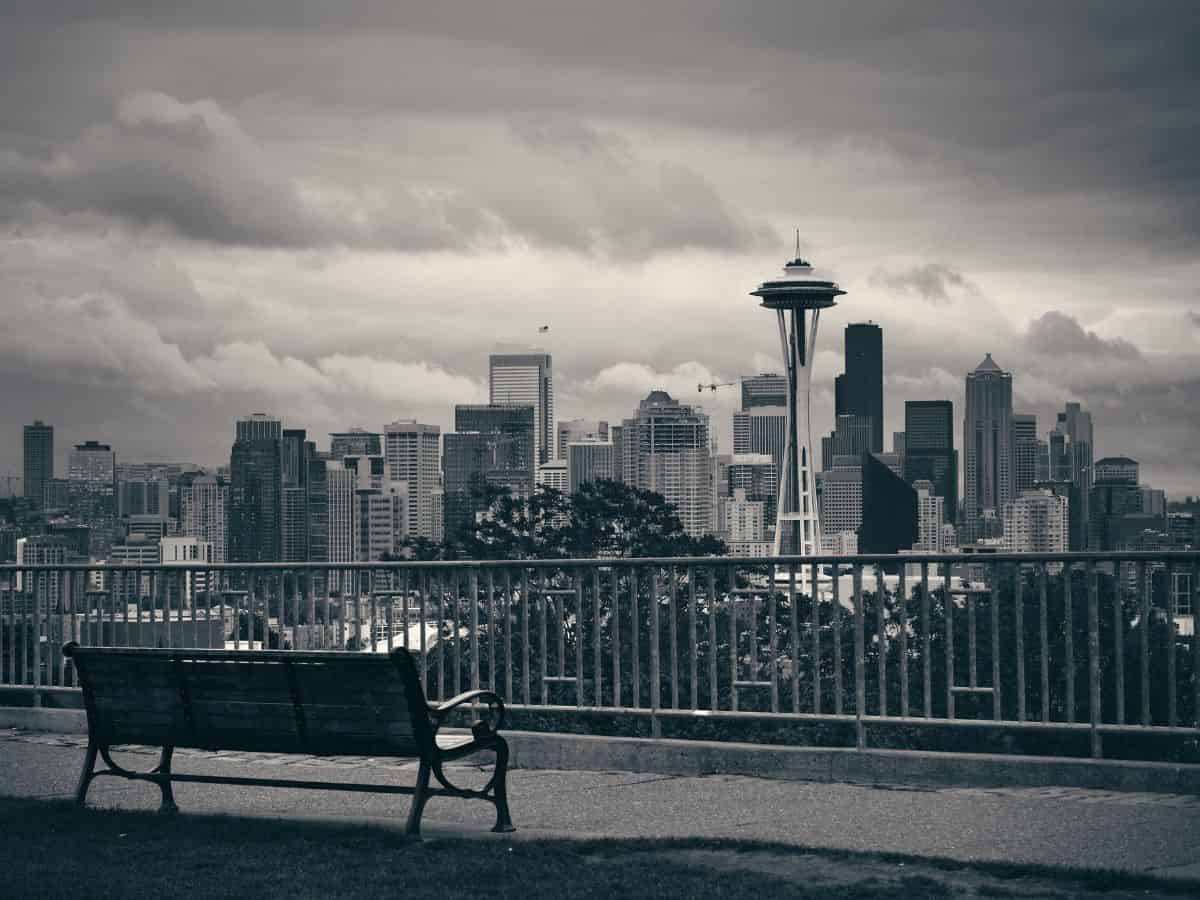 A bench with a view of the seattle skyline.