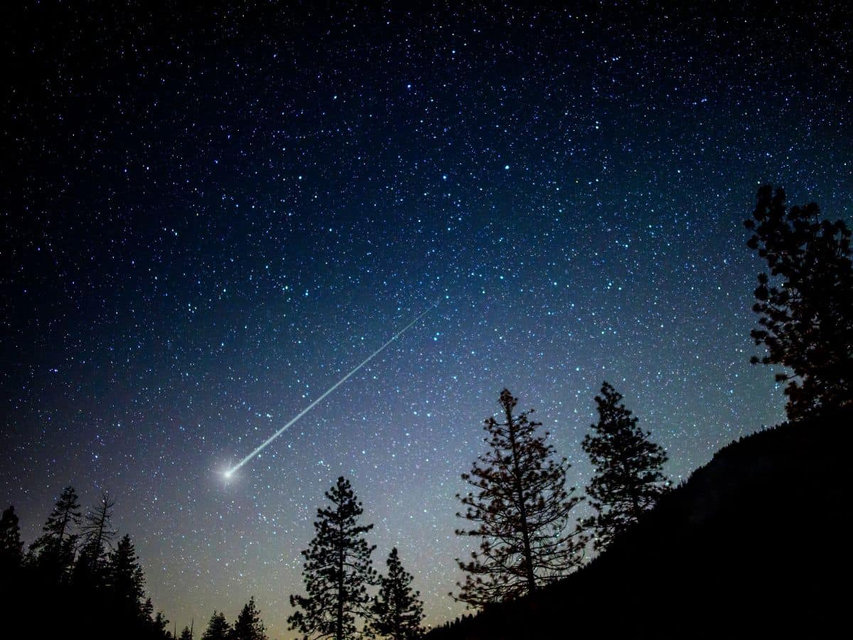 A comet streaks across the sky above a forest.