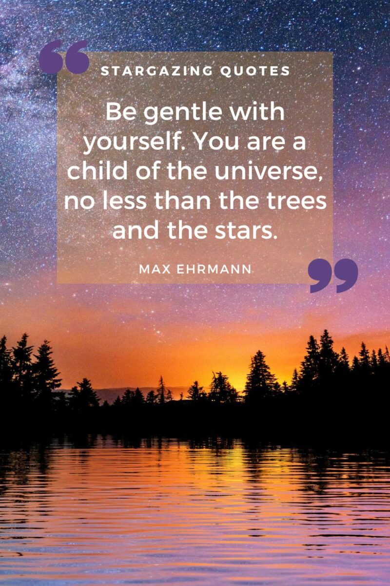 Be gentle with yourself you are a child of the universe less than the trees and the stars.