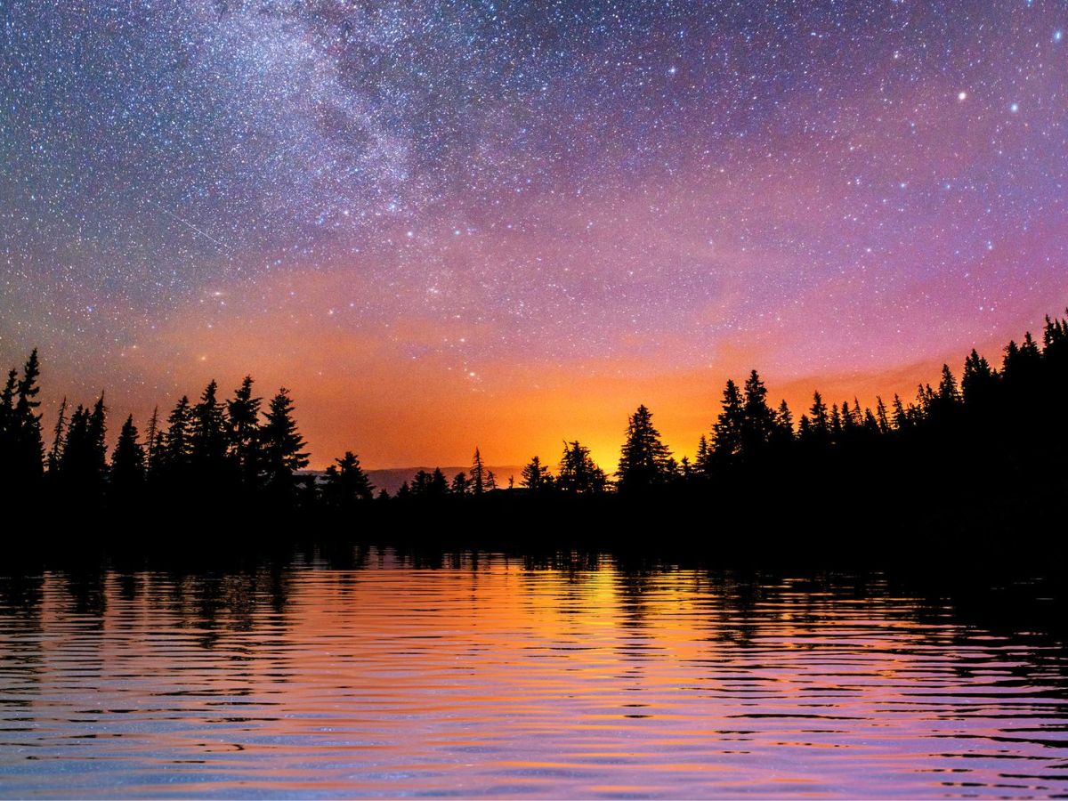 A starry sky over a lake with trees in the background.