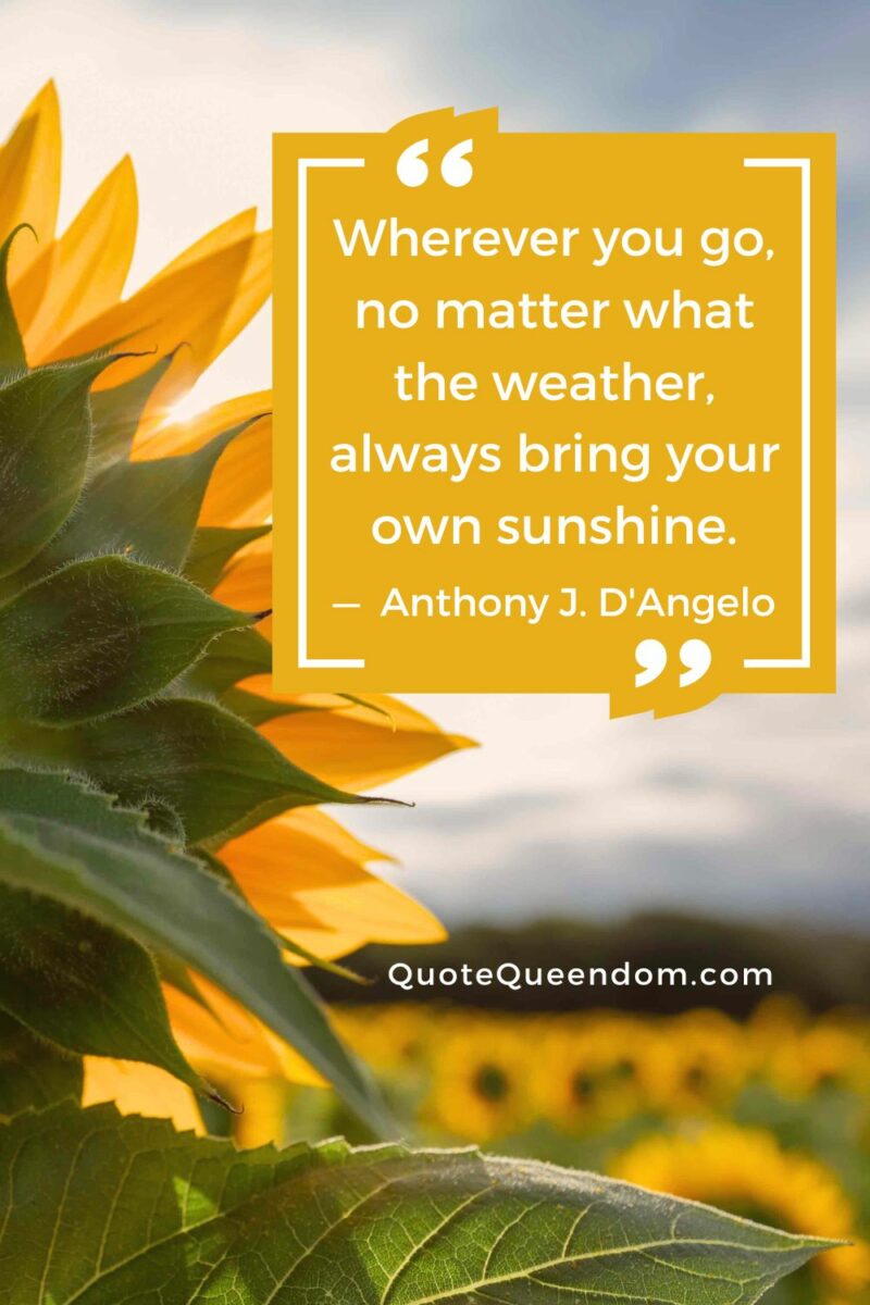 Anthony Queen once said, 'Wherever you go, no matter the weather, sunflowers will always bring your sunshine.'
