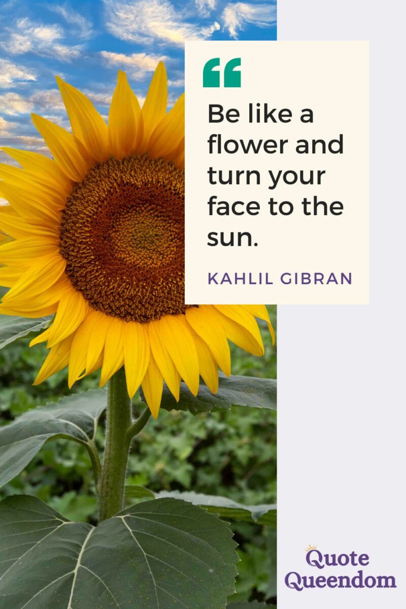 Embrace the warmth of the sun and bloom like a radiant sunflower.