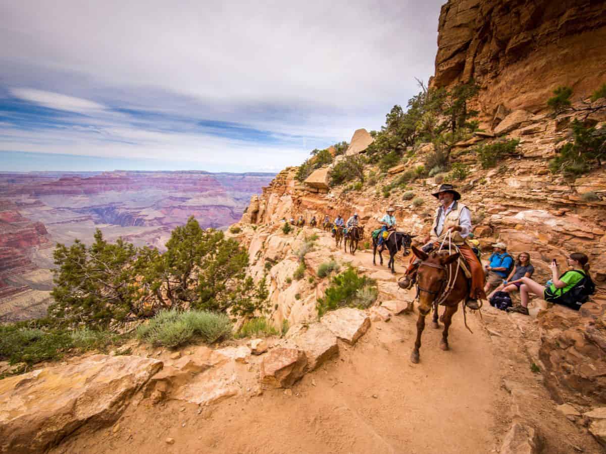 A group of people riding horses on a trail in the grand canyon.