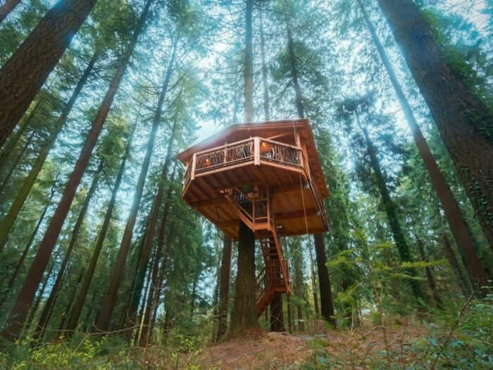 A glamping treehouse in the middle of a forest.