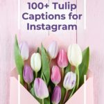100 tulip captions for instagram.