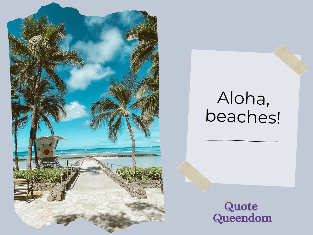 A tropical beach scene with palm trees, a lifeguard tower, and a clear blue sky, featuring a playful greeting "aloha, beaches!" on a note.