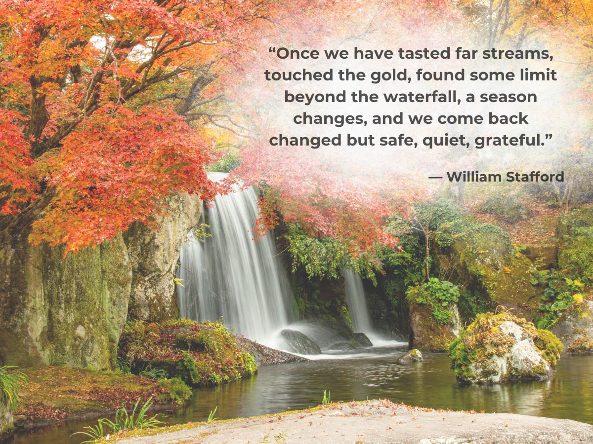 A waterfall with a quote from william frankfurt.