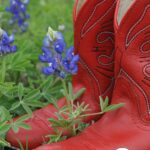 Red cowboy boots among bluebonnet flowers.