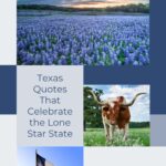 A collage showcasing texas scenery with bluebonnet fields, a longhorn cow, and the texas state flag.