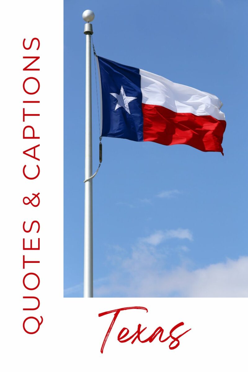 The texas state flag waving against a clear blue sky.
