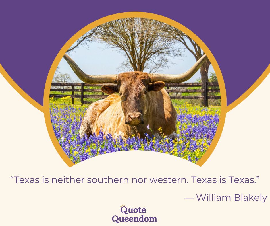 A longhorn cow lying in a field of bluebonnets, with a quote about Texas by William Blakely.