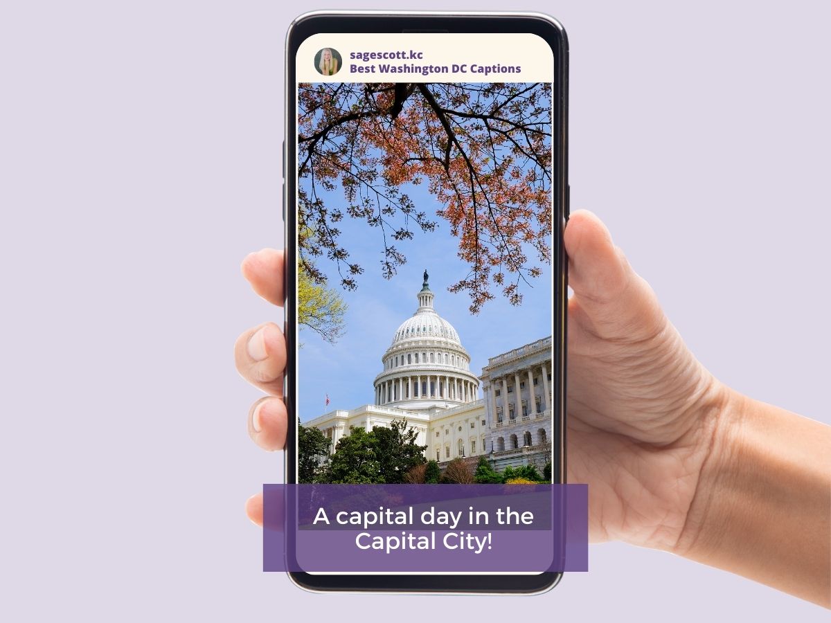 A hand holding a smartphone displaying a photo of the united states capitol building with cherry blossoms in the foreground.