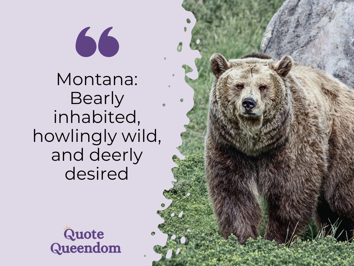 A brown bear alongside a promotional quote about montana's wildlife.