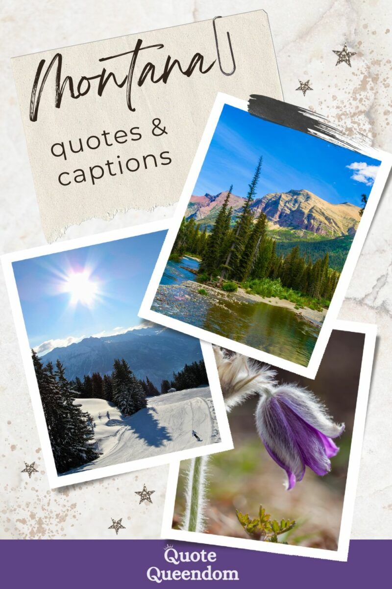 A collage of scenic montana landscapes and a flower, with a stylized title "montana quotes & captions.